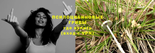 метадон Пересвет